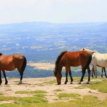 Laendliche Casa Da Rocha By Interhome