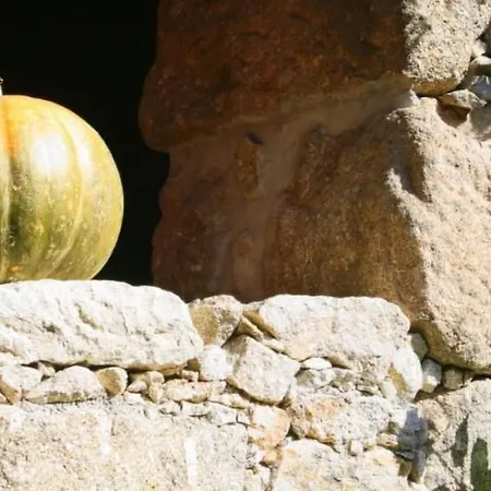 Prázdninový dům Laendliche Casa Da Rocha By Interhome