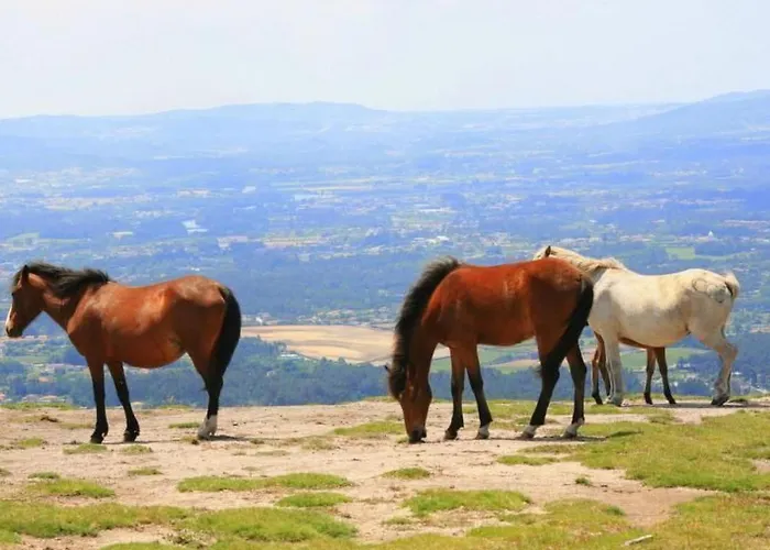 Laendliche Casa Da Rocha By Interhome