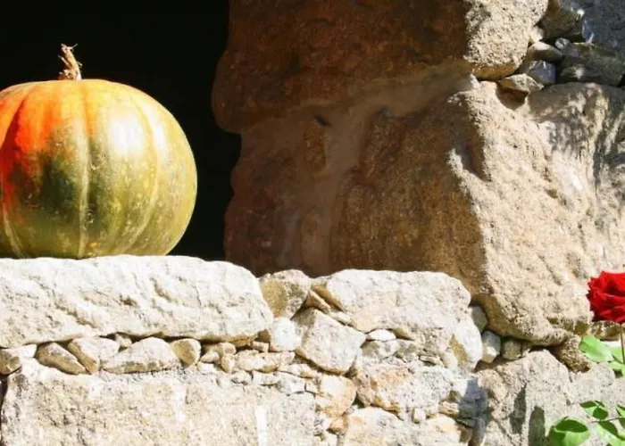 Holiday home Laendliche Casa Da Rocha By Interhome