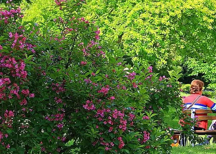 Holiday home Laendliche Casa Da Rocha By Interhome *